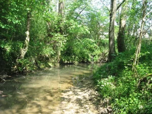 Lire la suite à propos de l’article Conseil Syndical du 22 octobre