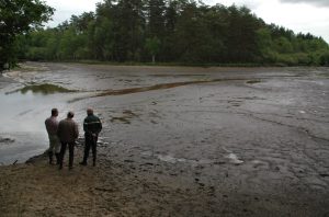 Lire la suite à propos de l’article Projet d&rsquo;étude SIVY 2023, enjeux croisés entre ressource et lutte contre les feux de forêts