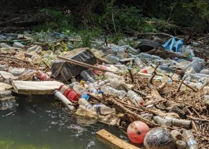 Lire la suite à propos de l’article Les plastiques, c&rsquo;est pas fantastique dans nos rivières !