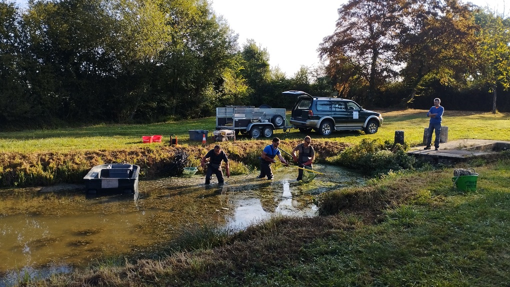 You are currently viewing Renaturation du ruisseau de l&rsquo;Annain et création d&rsquo;une mare