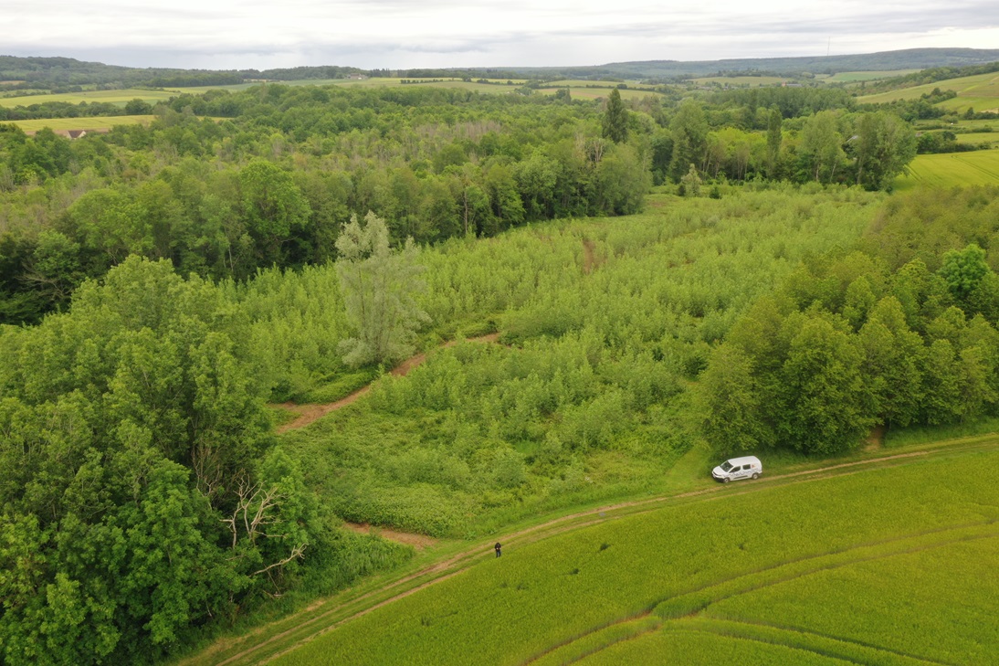 You are currently viewing Eloge de la nature ordinaire autour d’une friche communale, en cours d&rsquo;étude par le SIVY