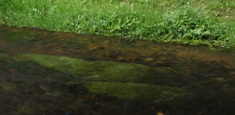 Vidéo – Restauration de l&rsquo;Auxigny à Saint-Martin d&rsquo;Auxigny 2020