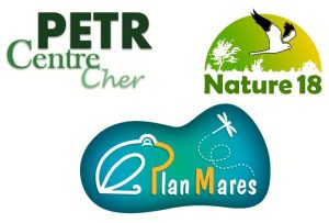 Lire la suite à propos de l’article Evolution du fil d&rsquo;actualité, parce-qu’il y en a « Mares » !